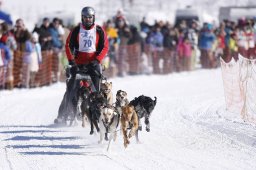 Lenk 2013